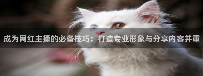 欧联杯直播360：成为网红主播的必备技巧：打造专业形象与分享内容并重