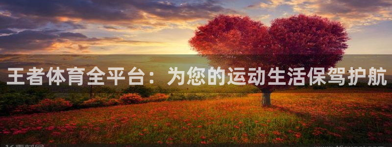 直播足球360：王者体育全平台：为您的运动生活保驾护航
