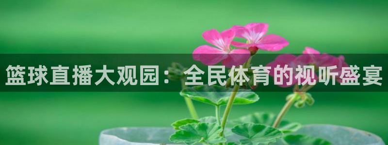 360直播免费体育直播：篮球直播大观园：全民体育的视听盛宴