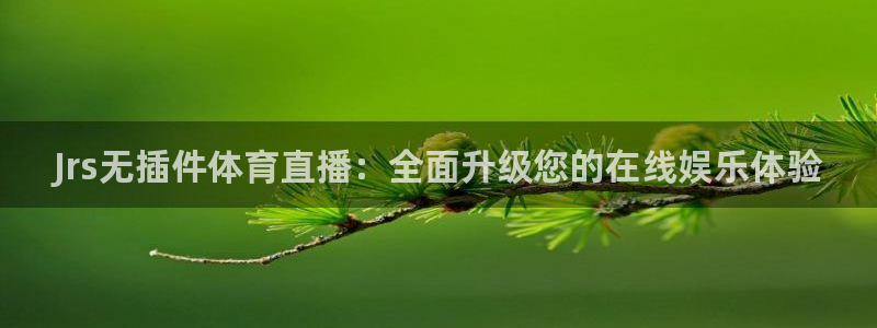 360雨燕免费直播：Jrs无插件体育直播：全面升级您的在线娱乐体验