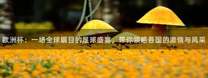 雨燕360体育赛事直播：欧洲杯：一场全球瞩目的足球盛宴，带你领略各国的激情与风采