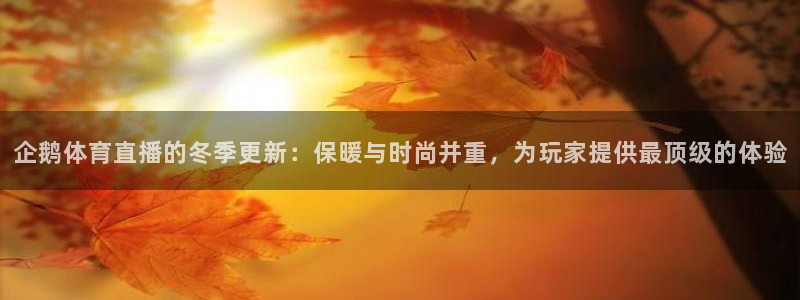 360体育赛事直播：企鹅体育直播的冬季更新：保暖与时尚并重，为玩家提供最顶级的体验