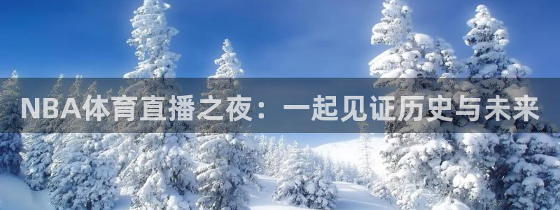 360直播无插件高清直播体育直播：NBA体育直播之夜：一起见证历史与未来