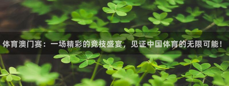 雨燕360体育足球直播：体育澳门赛：一场精彩的竞技盛宴，见证中国体育的无限可能！