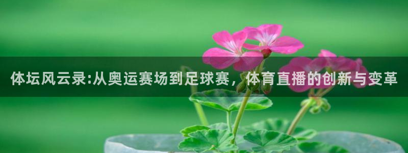 雨燕360体育直播全网发布.新年网.中国：体坛风云录:从奥运赛场到足球赛，体育直播的创新与变革
