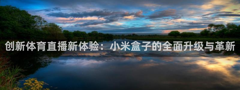 雨燕360体育免费直播nba排名：创新体育直播新体验：小米盒子的全面升级与革新
