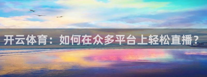 360篮球赛事直播