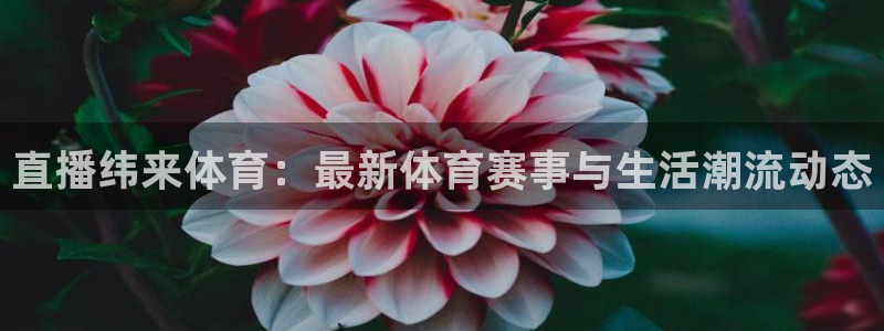 360体育直播吧在线直播观看：直播纬来体育：最新体育赛事与生活潮流动态