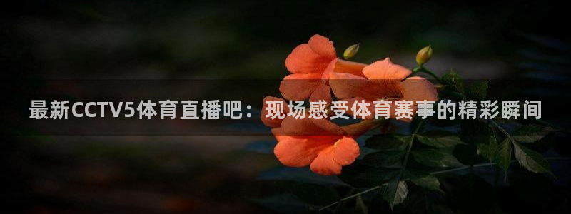 360直播网足球直播nba直播吧：最新CCTV5体育直播吧：现场感受体育赛事的精彩瞬间